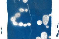 BRINA-Jerman, Moja mucka