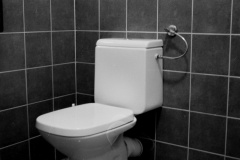 Jakob Švab, Domače