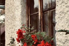 OS-Ana-Grom-SL2-Pod-oknom