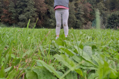 OS-Ava-Sadar-SL1-Zabava-s-sestrico