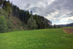 OS-Ava-Sadar-SL3-Ogled-domacega-kraja