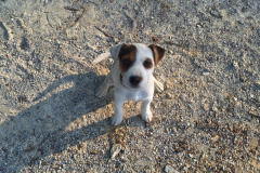 OS-Ema-Mrhar-SL3-Druzinski-clan