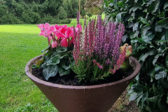 OS-Eva-Knez-SL2-Moj-prekrasni-vrt