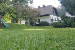 OS-Eva-Knez-SL3-Pred-hiso