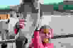 OS-Glorija-Rismondo-SL3-Sport-in-hobi