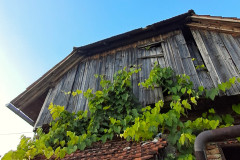 OS-Lucija-Berdajs-SL1-V-visave