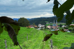 OS-Matic-Juric-SL2-Rastlinsko-okno