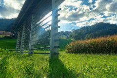 OS-Neli-Oven-SL2-Rozin-pogled-na-svet