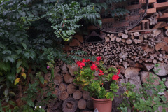 OS-Nika-Groznik-SL1-Doma-nekoc