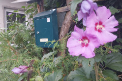 OS-Nika-Groznik-SL3-Domaci-nabiralnik