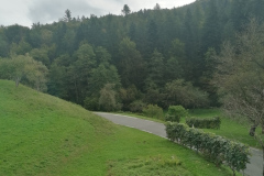 OS-Sara-Osredkar-SL1-Pogledala-sem-skozi-okno