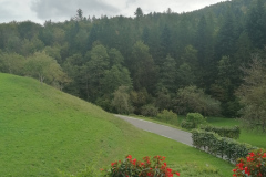 OS-Sara-Osredkar-SL2-Tako-se-vidi-pri-meni-doma-skozi-okno