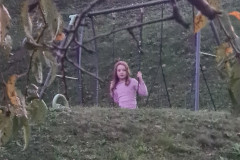 OS-Taja-Kos-SL3-Na-gugalnici