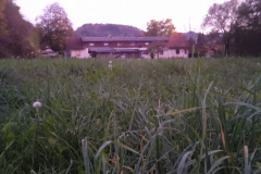 OS-Tina-Medved-SL1-Pod-do-skrivnega-prostora-ob-potoku