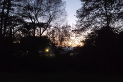 OS-Tina-Medved-SL2-Ob-potoku-sonce-zahaja