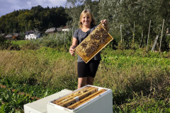 OS-Ulcar-Ela-SL2-Mala-cebelarka