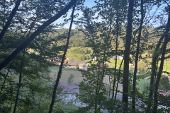 OS-Zala-Polutnik-SL2-V-goscavi-gozda