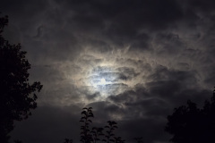 Ana Izlakar, Planet Zemlja, moj dom