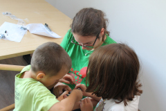 Blaž Šircelj, S skupnimi močmi