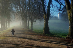 Branka Ojnik, Tek domov