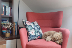 Odrasli-Jasmina-Groznik-sl3-CUVAJ-DOMA