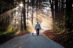 Rajko Grimšič, Sprehod s prijateljem