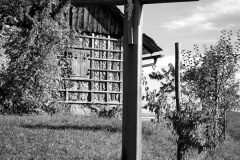 Danica Sedevčič, Nekoč je bil dom