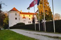 Osnovnosolci-Ajda-Zust-SL3-valvasorjev-dom