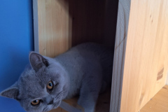 Osnovnosolci-Elin-Miklavcic-SL3-Mintyna-rezidenca