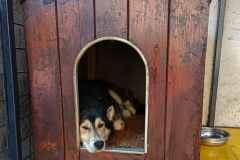 Osnovnosolci-Franci-Dernovsek-SL1-Udobje-doma