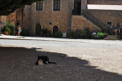 Osnovnosolci_Neza-Pevec-SL1-Tu-zivim-ze-dolga-leta