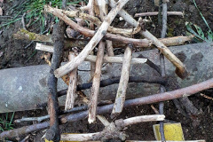 Osnovnosolci_Odin-Kupljen-Ojnik-SL1-Dom-hisa-za-pajke