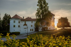 Rajko-Grimsic