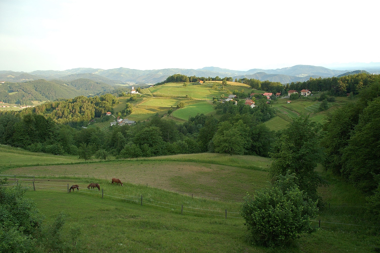 Liberga-3.jpg
